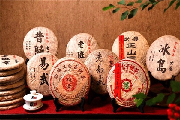 茶之夢加盟