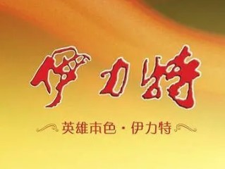伊力特白酒加盟