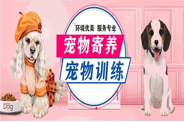 DAC寵物托養(yǎng)中心加盟