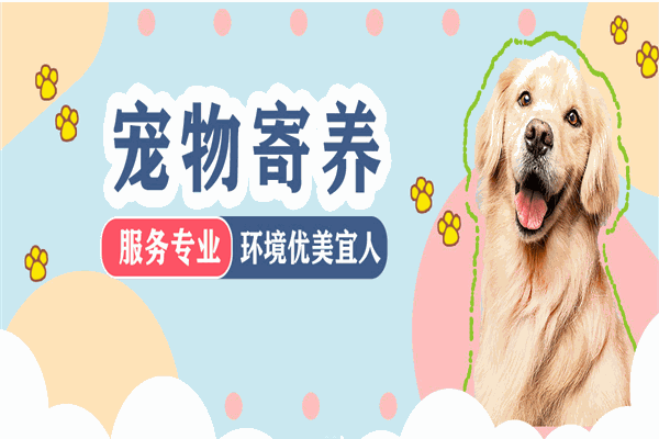 DAC寵物托養(yǎng)中心加盟