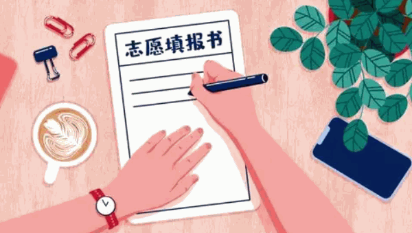 高考圈高考志愿填報咨詢