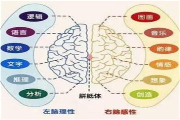清大全腦開發(fā)加盟