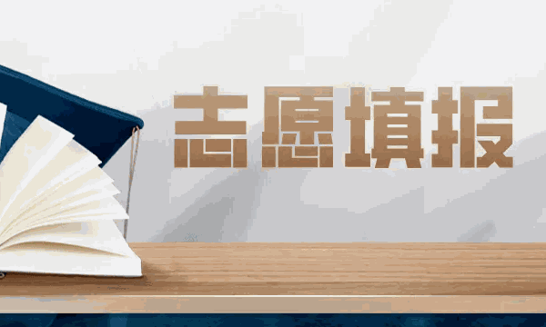 高考圈高考志愿填報咨詢