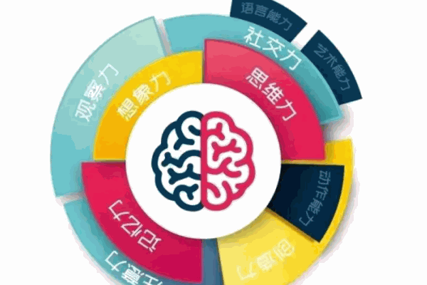 家有兒女全腦開發(fā)