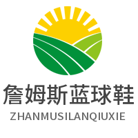 詹姆斯藍(lán)球鞋加盟
