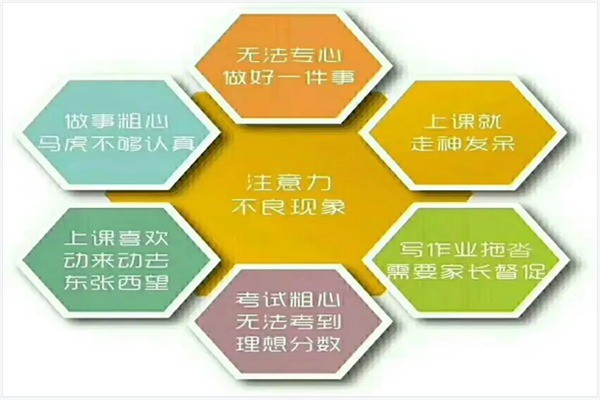 青大全腦加盟