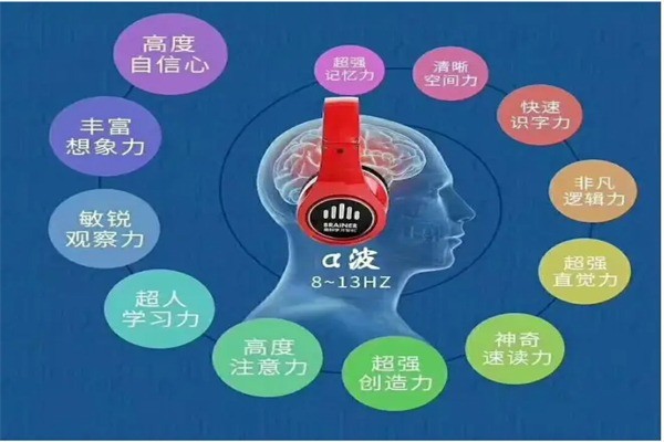 青大全腦加盟