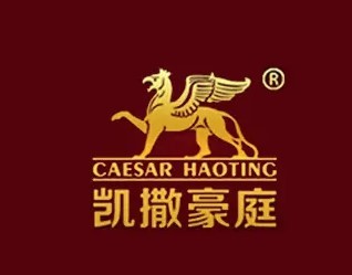 凱撒豪庭背景墻加盟