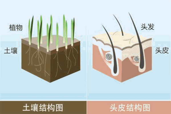 白轉(zhuǎn)黑中藥包養(yǎng)發(fā)加盟
