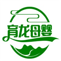 育龍母嬰加盟