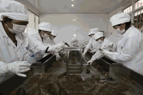 新穎佳生物科技加盟