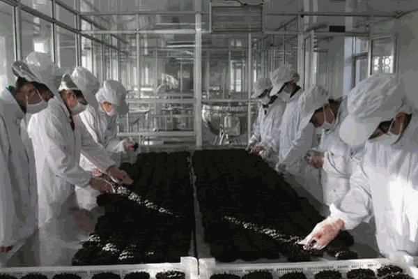 新穎佳生物科技加盟