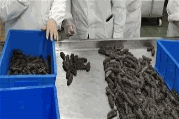 新穎佳生物科技加盟