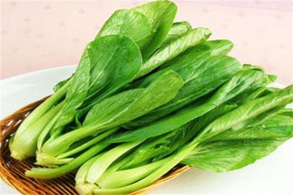 天然綠色食品加盟