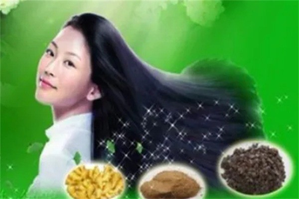 壯鄉(xiāng)茶麩養(yǎng)發(fā)加盟
