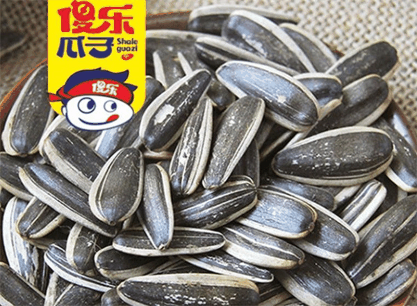 傻樂(lè)瓜子