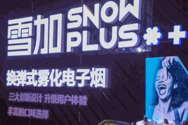 雪加電子煙