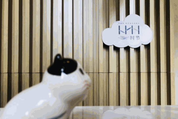 云時節(jié)西餐廳加盟