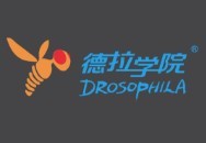 德拉學院STEAM教育加盟