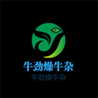 牛勁燥牛雜加盟