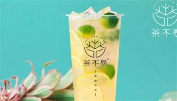 茶不易