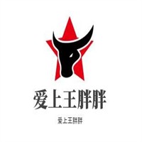 愛上王胖胖螺螄粉加盟