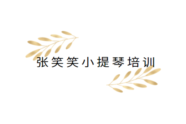 張笑笑小提琴培訓(xùn)加盟