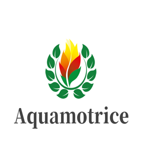 Aquamotrice男裝加盟