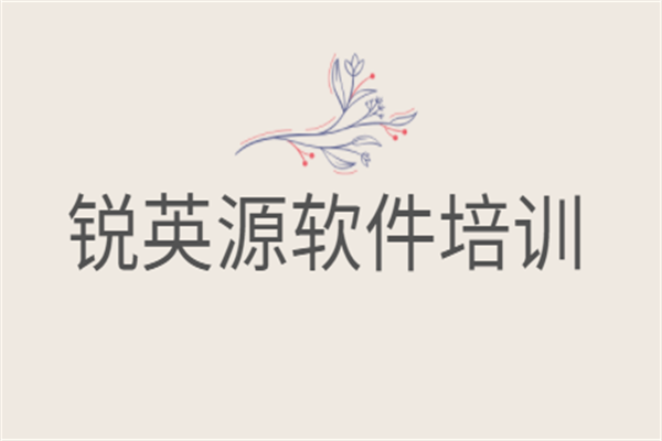 銳英源軟件培訓加盟