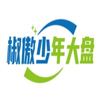 椒傲少年大盤雞加盟