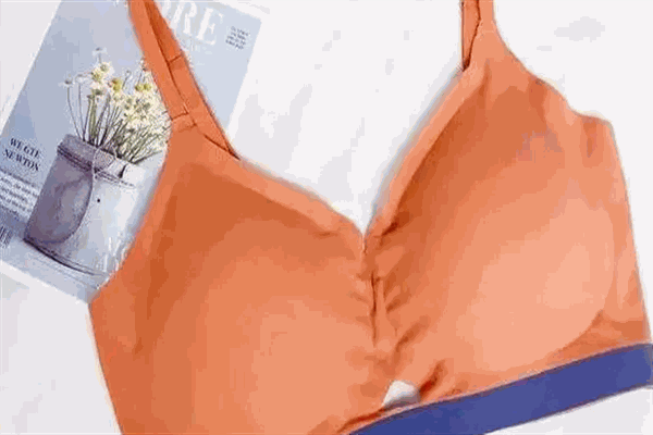康妮芬內(nèi)衣加盟