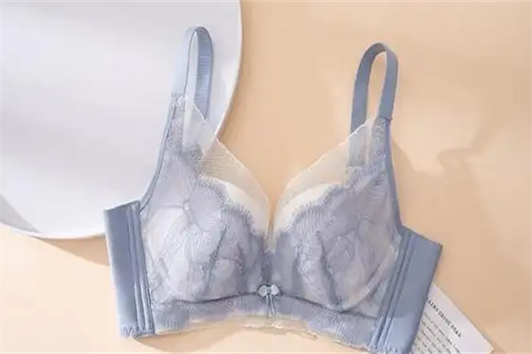 安莉佳內(nèi)衣加盟