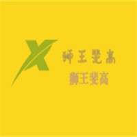 獅王斐高加盟