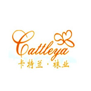 卡特蘭襪業(yè)加盟