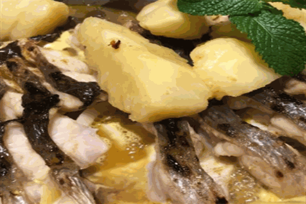 添魚全鏡水果烤魚加盟