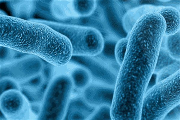 百邁客生物科技加盟