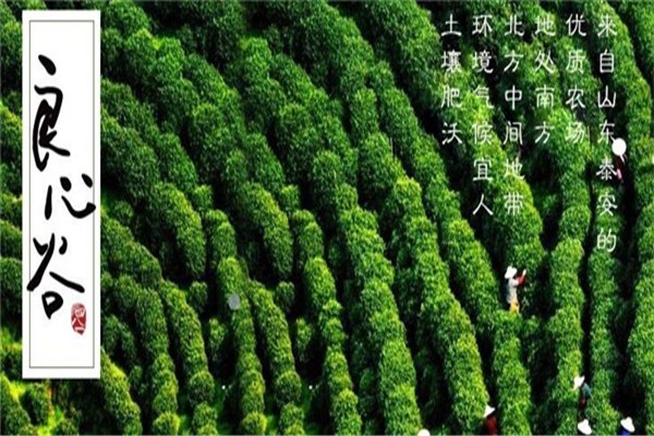 良心谷茶葉加盟