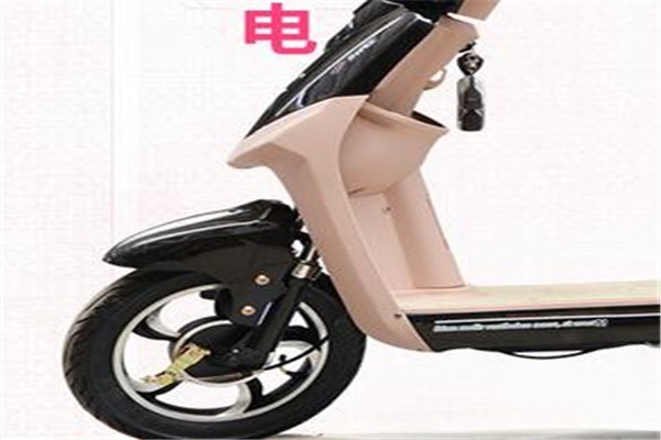 君一寶王電動車加盟