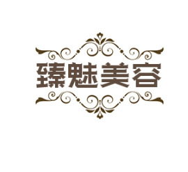 臻魅美容門診部加盟