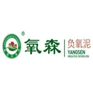 氧森負(fù)氧泥加盟