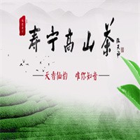壽寧高山茶加盟
