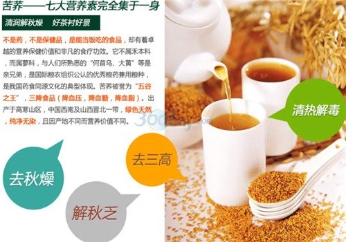航飛苦蕎茶加盟