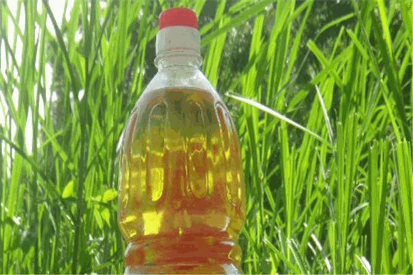 千諾拉食用油加盟