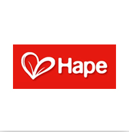 hape兒童玩具加盟
