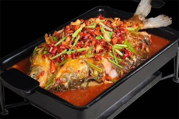 魚歌歲月加盟