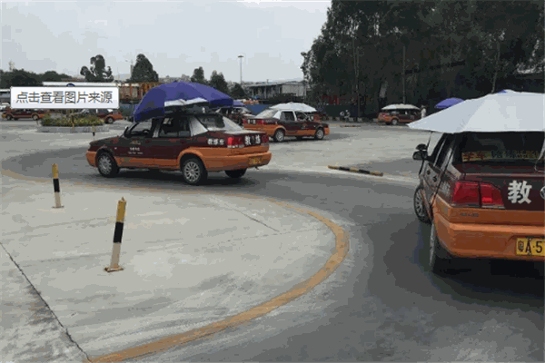 Honey學車加盟