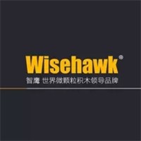 Wisehawk兒童玩具加盟
