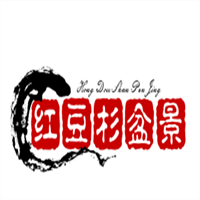 紅豆杉盆景加盟