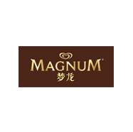 MAGNUM夢龍加盟