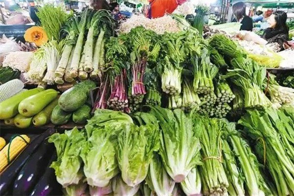 白家菜地鮮菜直銷加盟